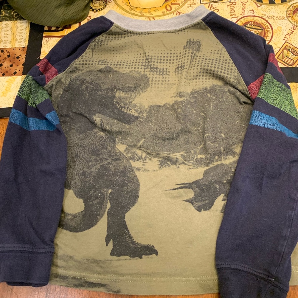 Boys Gymboree Dino shirt size SM (5-6)